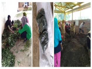 Pembuatan Pupuk Organik Dari Limbah Pertanian