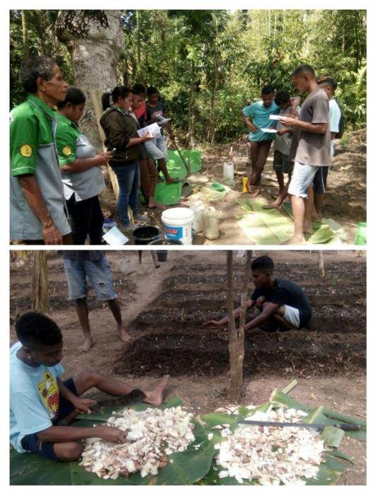 Pembuatan Mol Bonggol Pisang