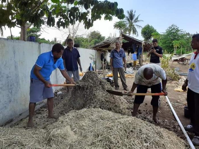 Pembuatan Pupuk Bokashi Di Poktan Ubi Talas Kelurahan Lewoleba Utara  Kecamatan Nubatukan Kabupaten Lembata