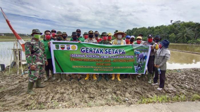 Gertak Setapa (Gerakan Serentak Semai, Tanam dan Panen)