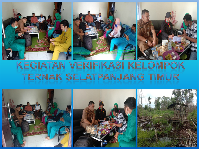 KEGIATAN VERIFIKASI KELOMPOK TERNAK KELURAHAN SELATPANJANG TIMUR