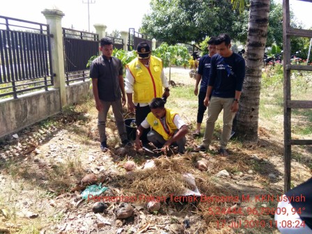 PEMAMFAATAN LIMBAH JERAMI UNTUK MENINGKATKAN NUTRISI PADA HEWAN TERNAK