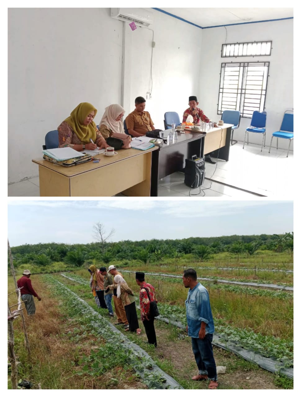 Pertemuan Bulanan Bpp Kec.rupat Dihadiri Oleh Kabid Penyuluh Pertanian Kabupaten Bengkalis