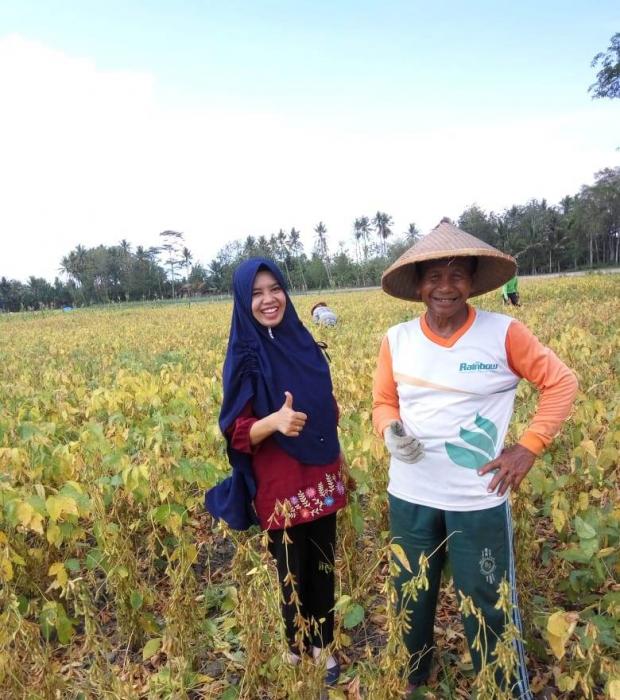 DESA MANDIRI BENIH KEDELAI