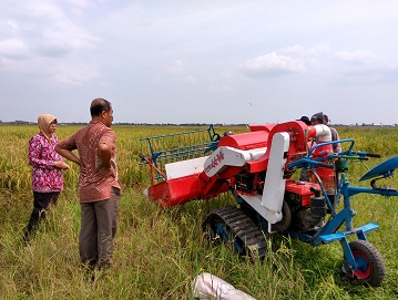 PEMANENAN PADI MENGGUNAKAN COMBINE HARVESTER