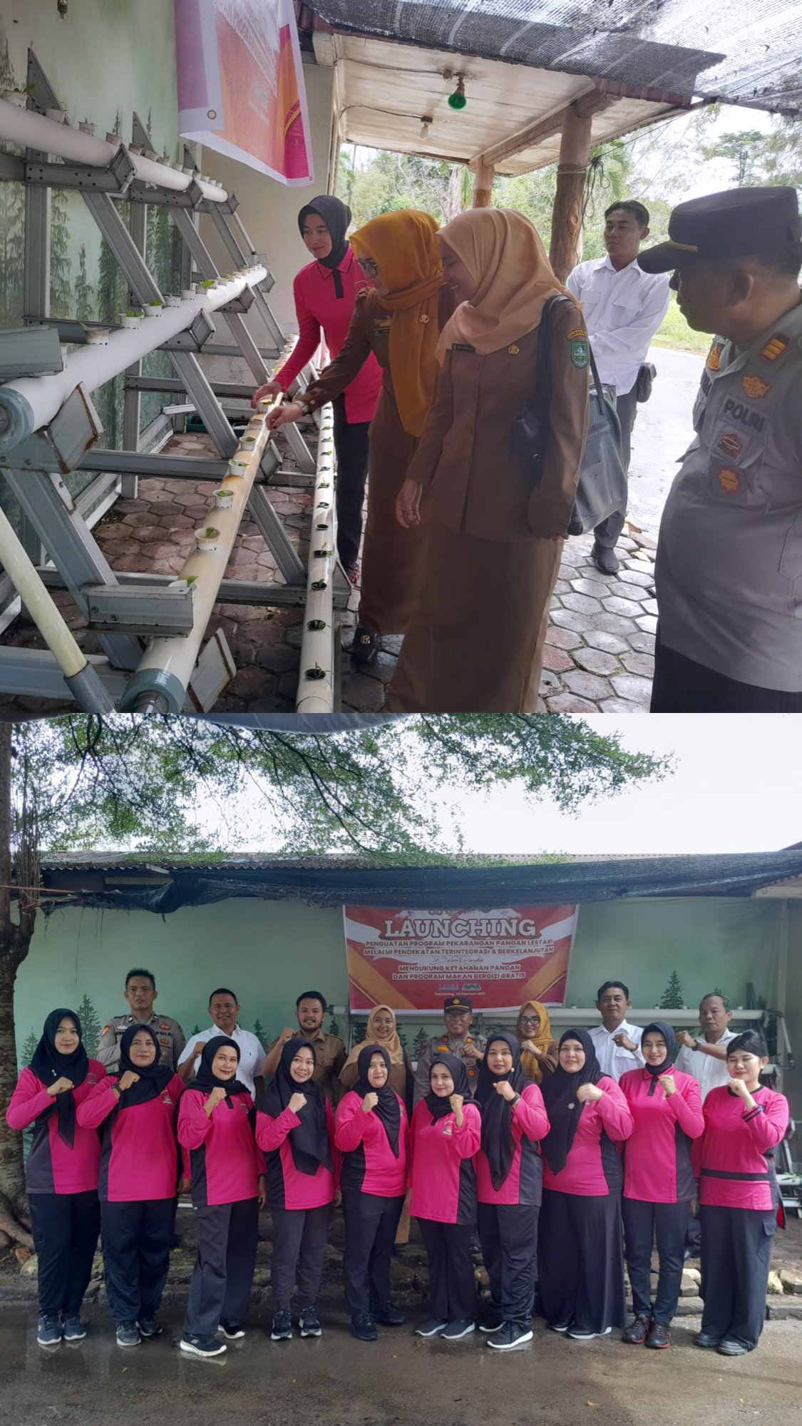 MENDUKUNG PENGUATAN PROGRAM PEKARANGAN PANGAN LESTARI