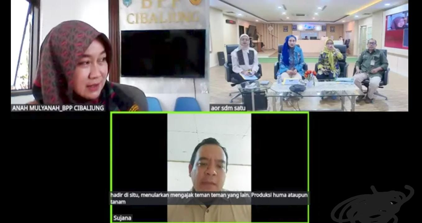 Wujudkan Swasembada Pangan, Penyuluh lakukan Pendampingan Pengembangan Padi Gogo.