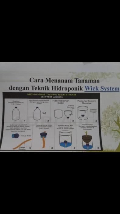 Hidroponik Sederhana