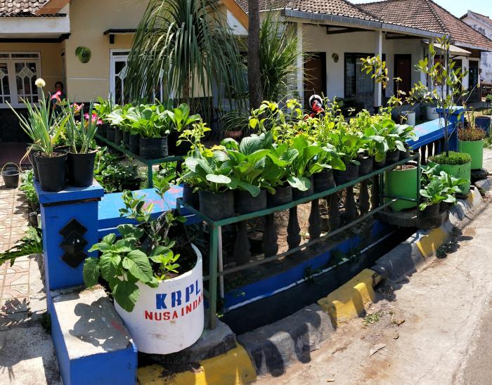 Pemanfaatan Pekarangan Sebagai Sumber Pangan Dan Gizi Keluarga
