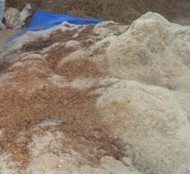 MENYUSUN PAKAN LENGKAP SAPI POTONG BERBASIS SNI