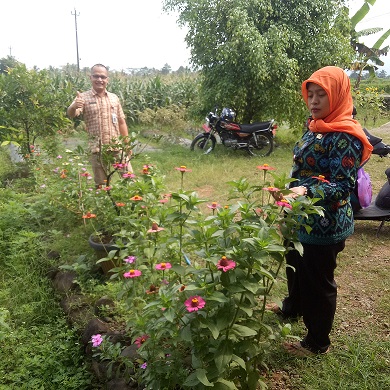 Refugia Cara Cantik Kendalikan Hama