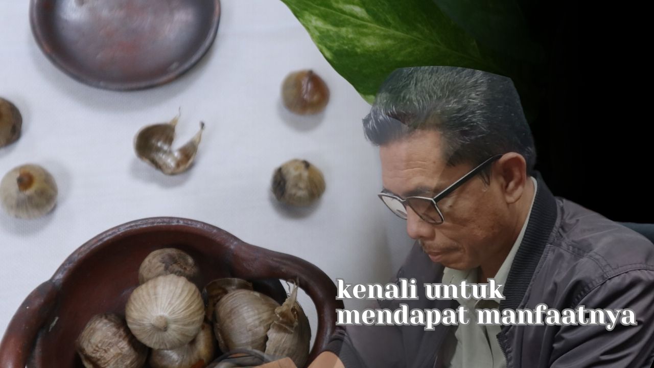 TIPS BUDIDAYA CABAI AGAR PANEN TIDAK CEPAT BUSUK 