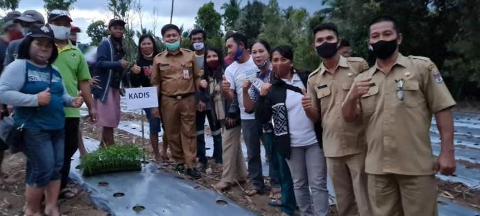 Giat Petani Cabe Milenial Maesaan di Era New Normal