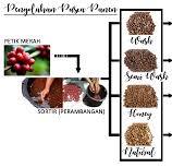 Pasca Panen Kopi Proses Pengolahan Kopi