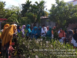 BUDIDAYA SALENDRI ORGANIK DALAM VOLIBAG
