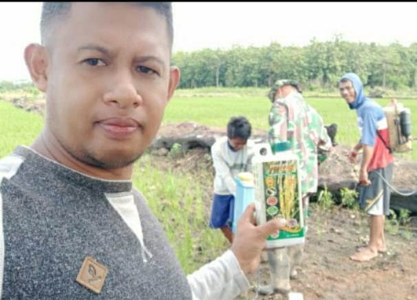 Aplikasi Biota Pada Tanaman Padi Sawah