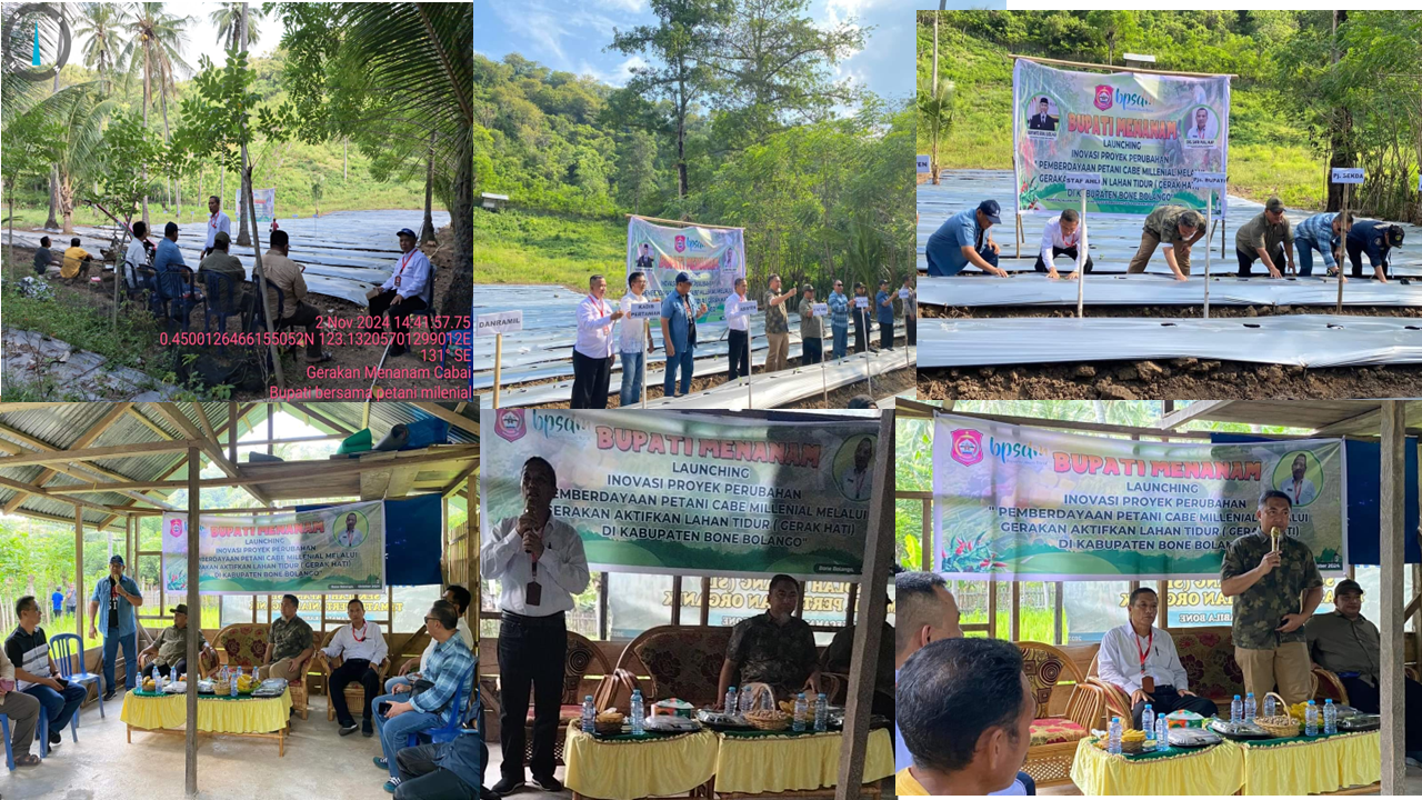 Bupati Menanam, Launching Inovasi Pemberdayaan Petani Cabe Milenial Melalui Gerakan Aktifkan Lahan Tidur (gerak Hati) Di Kabupaten Bone Bolango