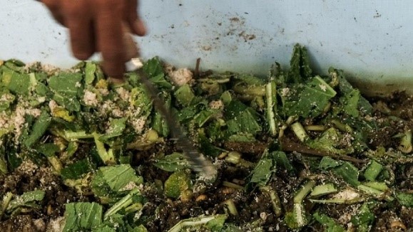 Komunikasi Organisasi: Fungsi, Teori, Jenis dan Manfaat