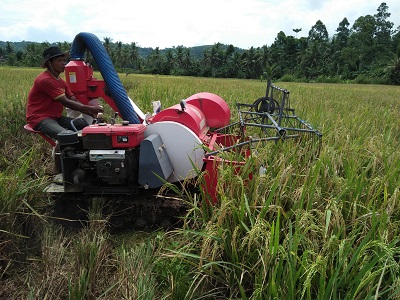 PANEN PADI DENGAN COMBINE HARVERSTER!  MENGAPA TIDAK!