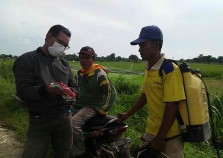 Kelompoktani  sebagai Pelaku Utama Pengambilan Keputusan 