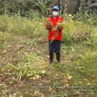 Manfaat Kacang  Kedelai Edamame