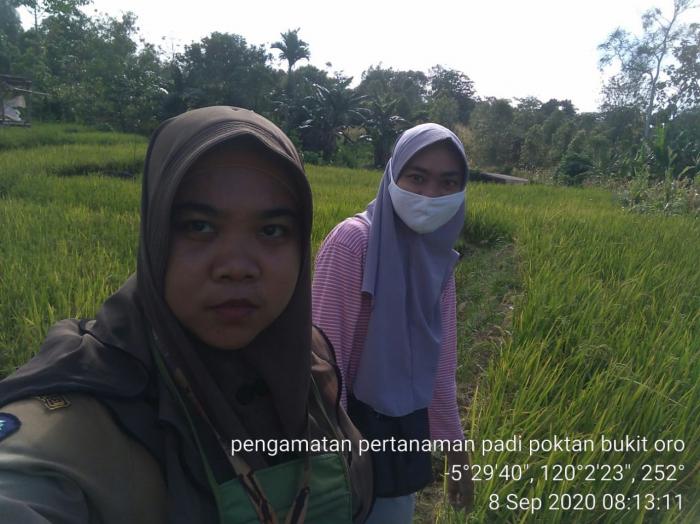  Kunjungan ke pertanaman padi poktan Bukit oro Kel.Gantarangkeke Kec.Gantarangkeke Kab.Bantaeng