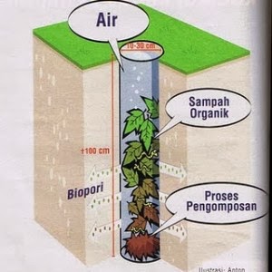 biopori dan manfaatnya