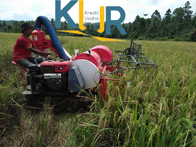 TINGKATKAN DAYA SAING USAHA KECIL MIKRO DAN MENENGAH MELALUI AKSES KUR