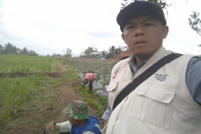 Indahnya Kebersamaan Dengan Pihak Masyarakat Dan Tni Dalam Rangka Pemberantasan Hama Wbc (wereng Batang Cokelat)