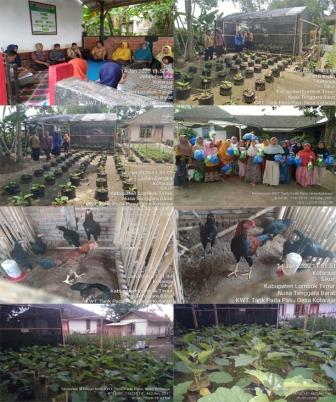 Kawasan Rumah Pangan Lestari Untuk Ketahanan Pangan 