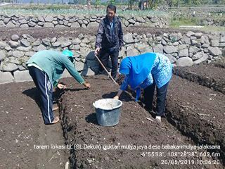 PENGGUNAAN BIO PESTISIDA PADA TANAMAN BAWANG MERAH