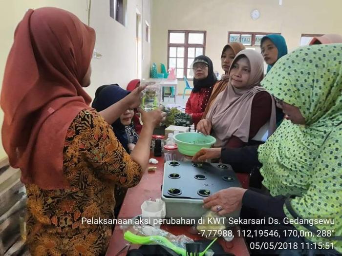 CARA SEDERHANA MENANAM  SAYURAN HIDROPONIK DENGAN SISTEM WICK