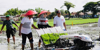 Asuransi Tanaman Petani
