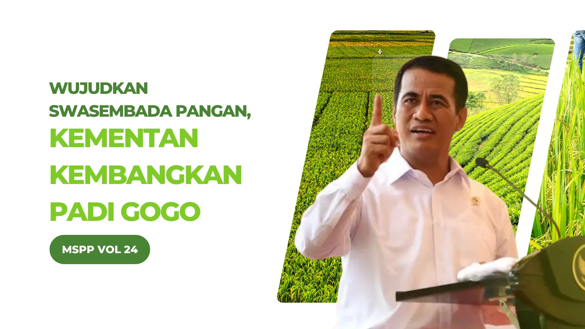  Pengembangan Padi Gogo Merupakan Bagian Integral dari Strategi Nasional Ketahanan Pangan 