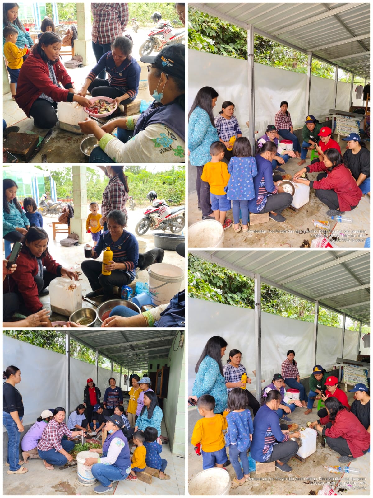 Pembuatan Pupuk Asam Amino Organik (pasmo)