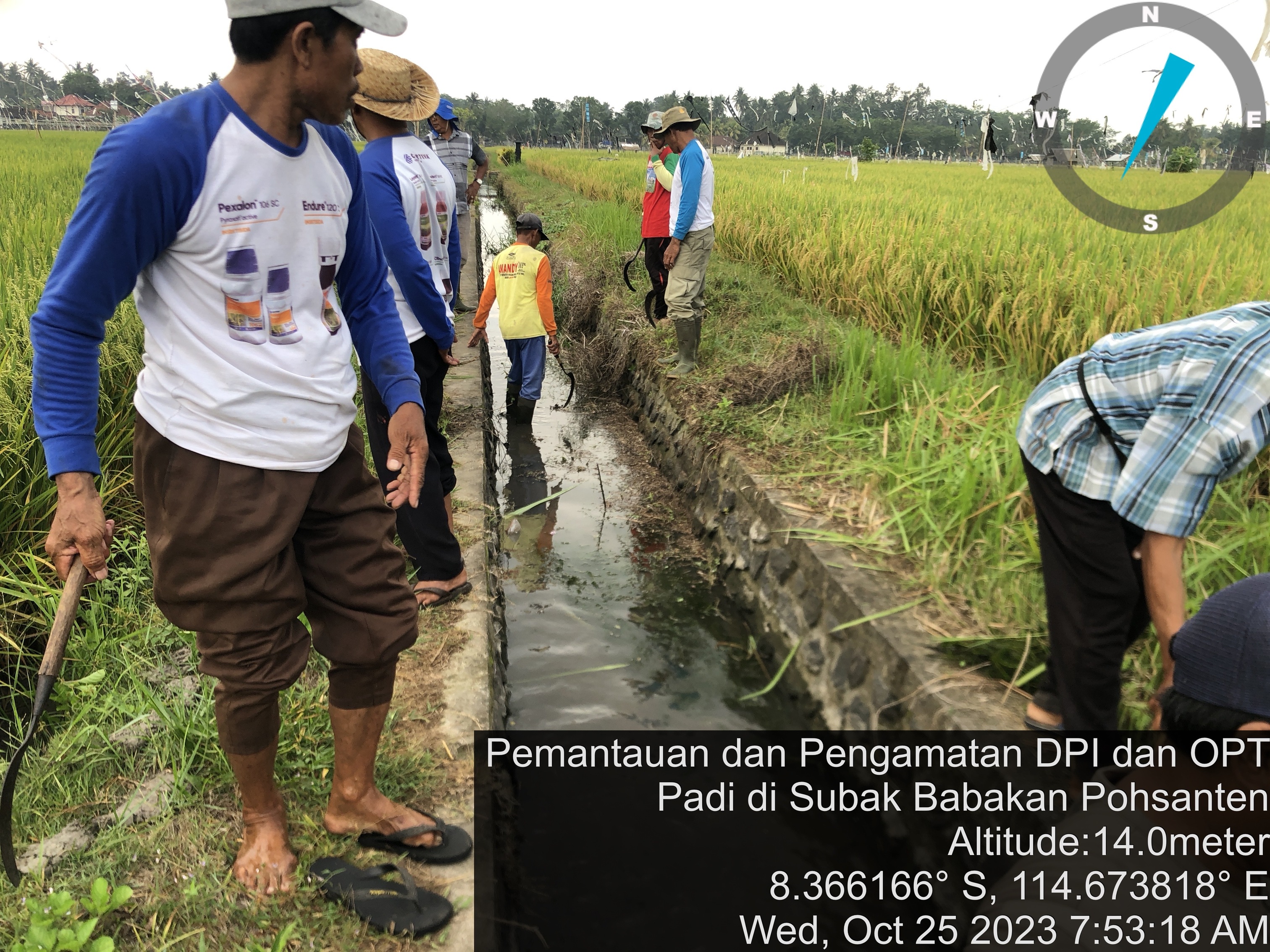 Gotong Royong Pembersihan Saluran Irigasi Pertanian