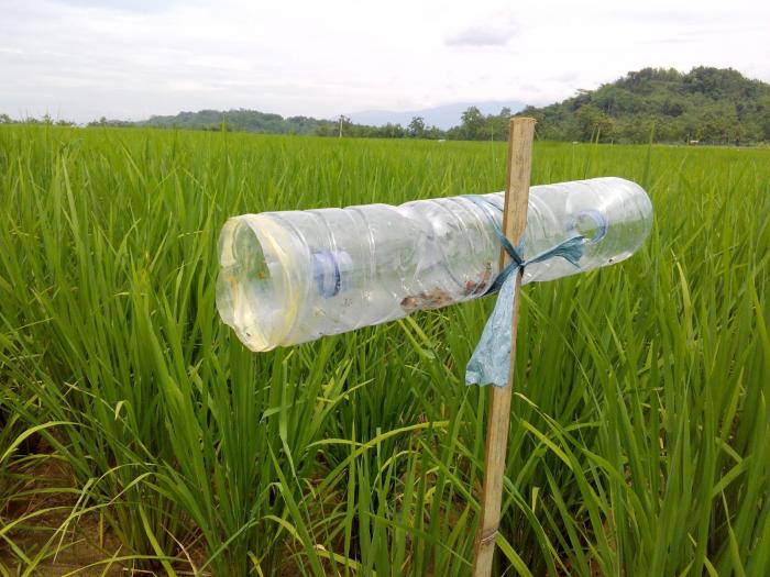 Keterpaduan Penerapan Konsep PHT