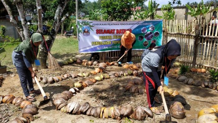 Manfaat Pengolahan Tanah dan Rotasi Tanaman
