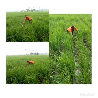 Teknologi Untuk Mencegah Asem-aseman