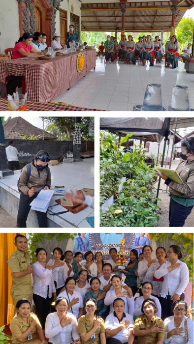 INTENSIFIKASI PEKARANGAN MELALUI BUDIDAYA TANAMAN OBAT KELUARGA (TOGA) DI KELURAHAN BALER BALE AGUNG