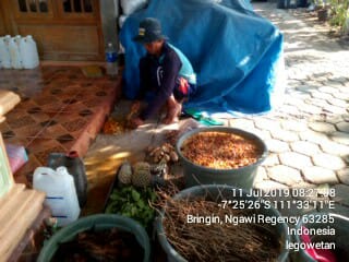 HAMA KEONG MAS PADA TANAMAN PADI DAN CARA PENGENDALIANYA (MATERI PENYULUHAN DESA SUMBERBENING KECAMATAN BRINGIN)