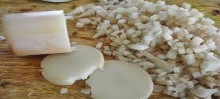 Pembuatan Pupuk Organik Sudah Menjadi Keharusan