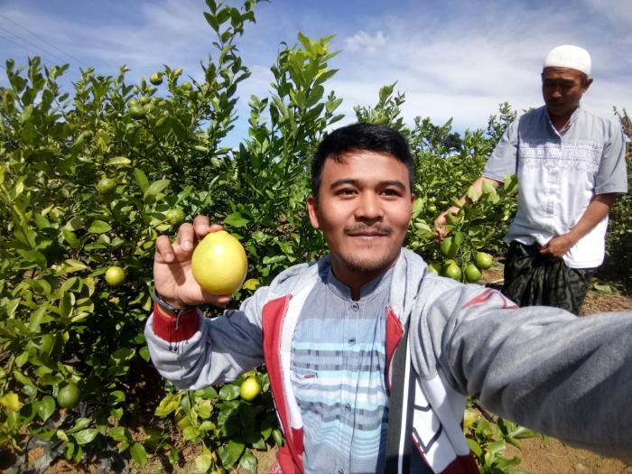 SIKULIT TEBAL BANYAK KHASIATNYA UNTUK KESEHATAN