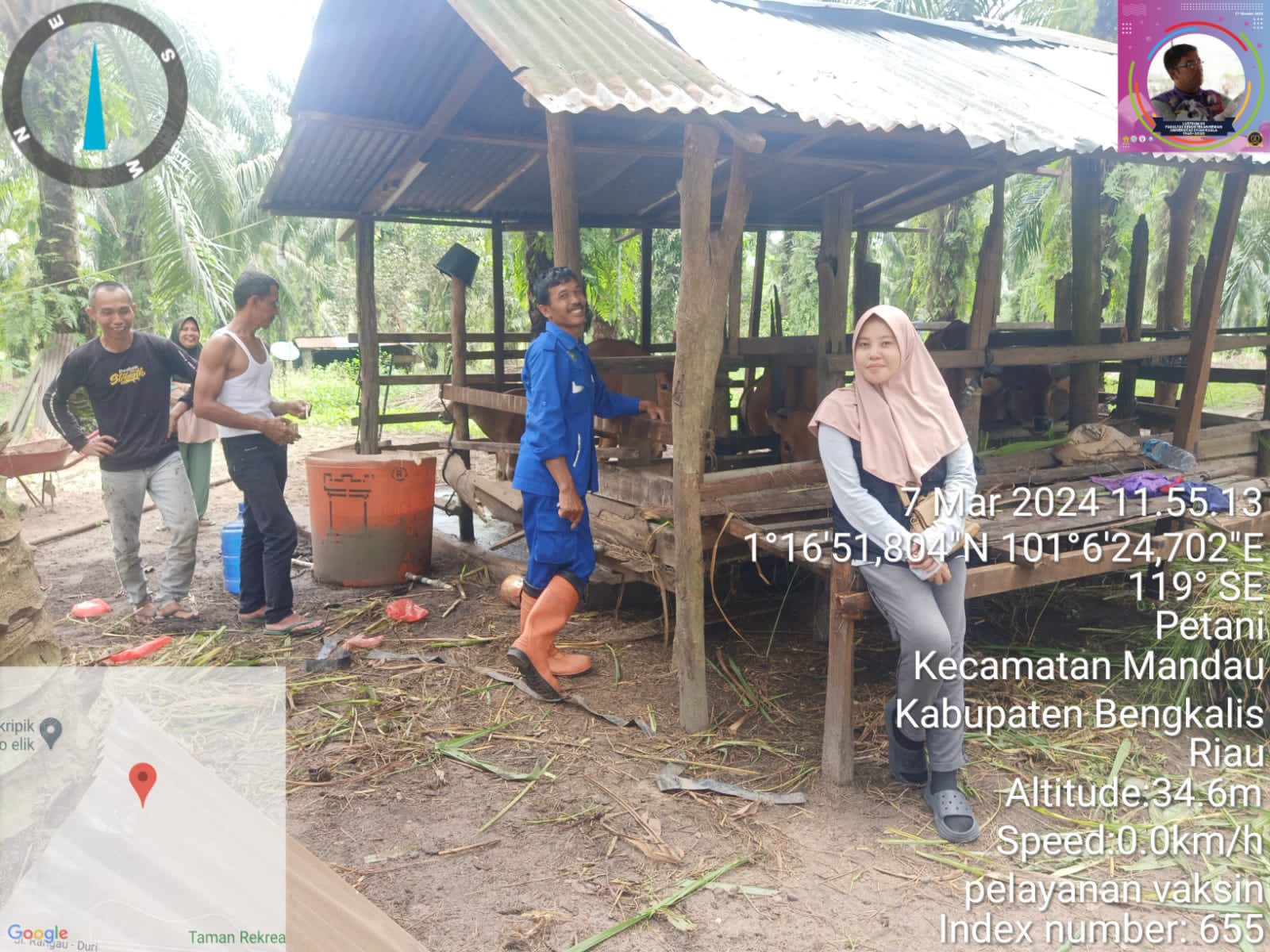 PELAYANAN VAKSINASI JEMBRANA DAN PMK OLEH TIM KESEHATAN HEWAN DI KECAMATAN BATHIN SOLAPAN KABUPATEN BENGKALIS