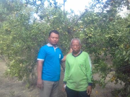 Agrowisata  Jeruk  Duri  Slahung