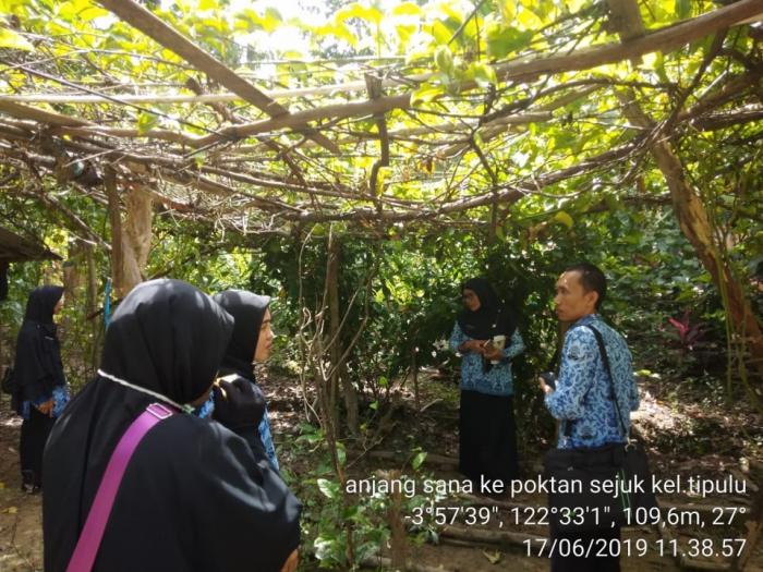 METODE ANJANG SANA KE KELOMPOK TANI SEJUK KELURAHAN TIPULU KECAMATAN KENDARI BARAT KOTA KENDARI SULAWEI TENGGARA