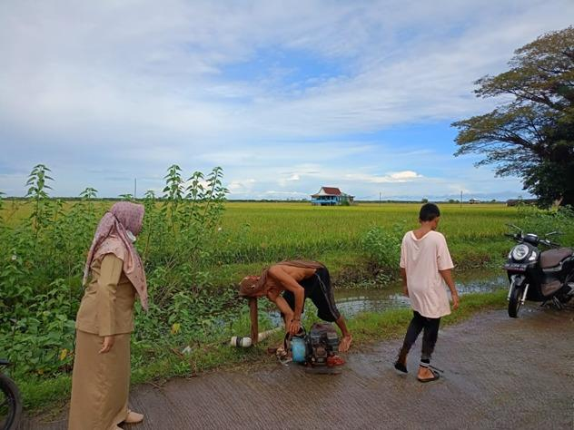 Pompanisasi Pertanian Modern, Solusi Efektif Tingkatkan Produksi Padi