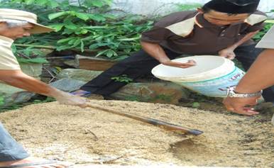 PENGGUNAAN  PUPUK  ORGANIK