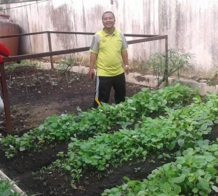 manfaat dan bahaya sayur bayam