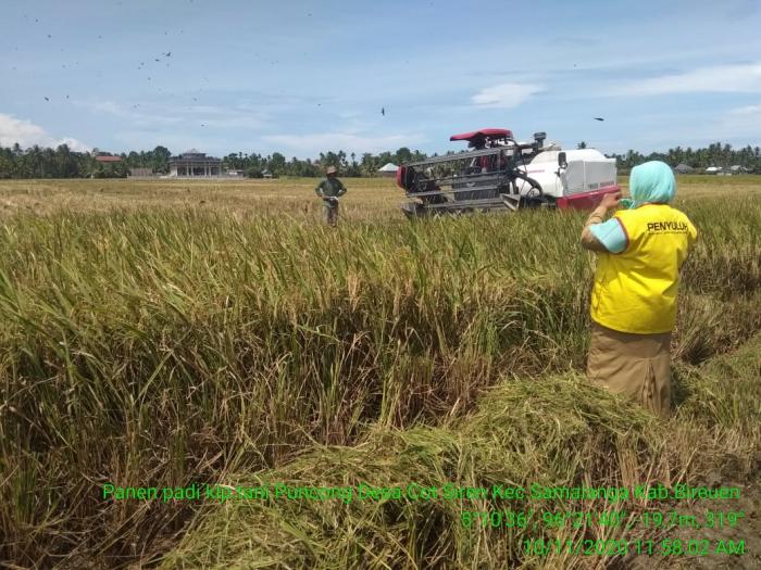 Pasca Panen Padi Sawah
